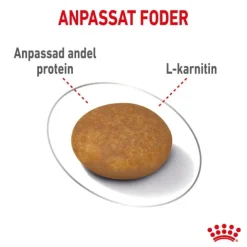 Royal Canin Light Weight Care X-small Adult torrfoder för hund