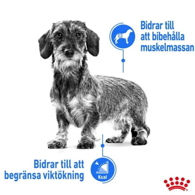 Royal Canin Light Weight Care X-small Adult torrfoder för hund