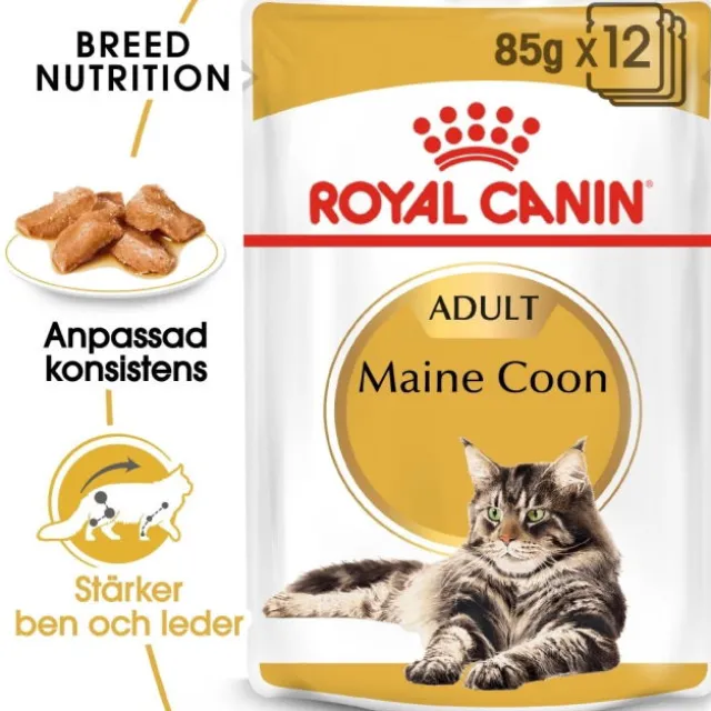 Royal Canin Maine Coon Adult Gravy våtfoder för katt 12 x 85 g
