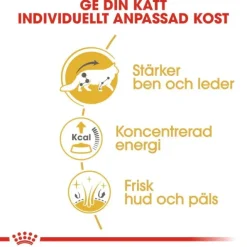 Royal Canin Maine Coon Adult Gravy våtfoder för katt 12 x 85 g