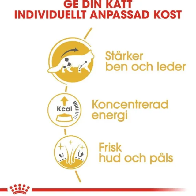 Royal Canin Maine Coon Adult Gravy våtfoder för katt 12 x 85 g