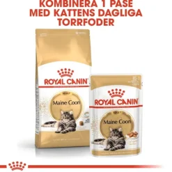 Royal Canin Maine Coon Adult torrfoder för katt