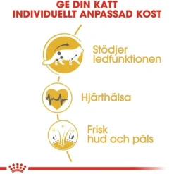 Royal Canin Maine Coon Adult torrfoder för katt
