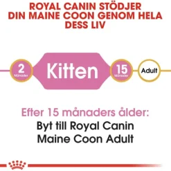 Royal Canin Maine Coon Kitten torrfoder för kattunge