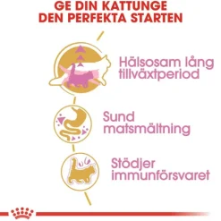 Royal Canin Maine Coon Kitten torrfoder för kattunge