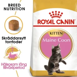 Royal Canin Maine Coon Kitten torrfoder för kattunge