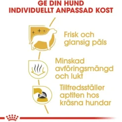 Royal Canin Maltese Adult torrfoder för hund