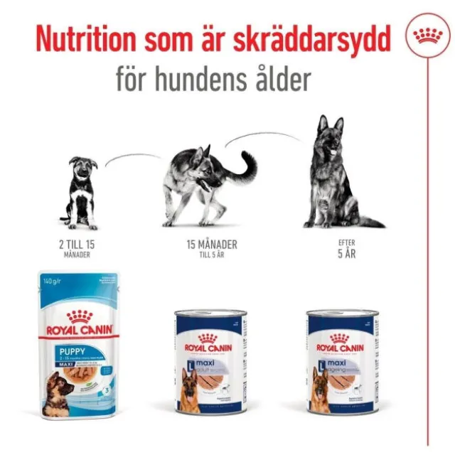Royal Canin Maxi Adult Loaf våtfoder för hund 410 g