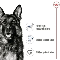 Royal Canin Maxi Adult Loaf våtfoder för hund 410 g