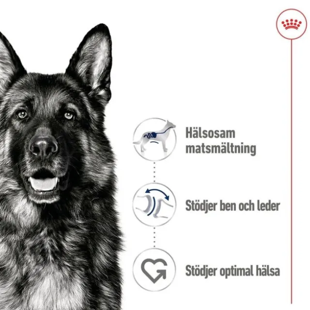 Royal Canin Maxi Adult Loaf våtfoder för hund 410 g