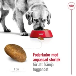 Royal Canin Maxi Adult torrfoder för hund