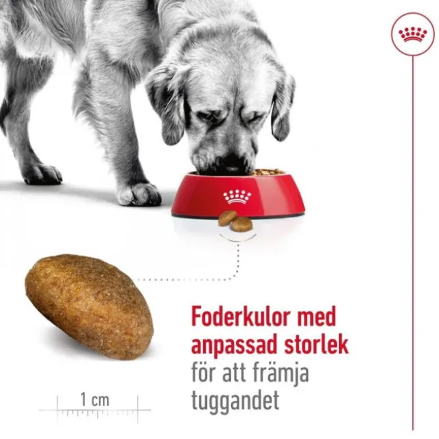 Royal Canin Maxi Adult torrfoder för hund