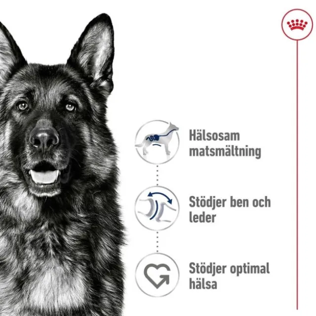 Royal Canin Maxi Adult torrfoder för hund