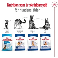 Royal Canin Maxi Ageing 8+ torrfoder för hund