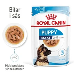 Royal Canin Maxi Puppy Gravy våtfoder för hundvalp 10x140g