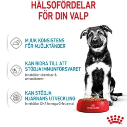Royal Canin Maxi Puppy Gravy våtfoder för hundvalp 10x140g