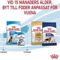 Royal Canin Maxi Puppy Torrfoder för hundvalp