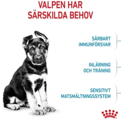Royal Canin Maxi Puppy Torrfoder för hundvalp