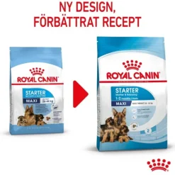 Royal Canin Maxi Starter torrfoder för hund och hundvalp