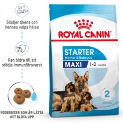 Royal Canin Maxi Starter torrfoder för hund och hundvalp