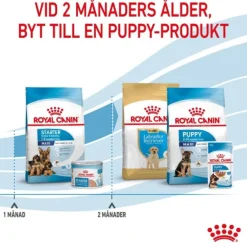 Royal Canin Maxi Starter torrfoder för hund och hundvalp