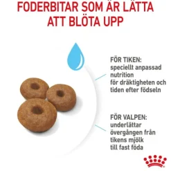 Royal Canin Maxi Starter torrfoder för hund och hundvalp