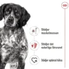 Royal Canin Medium Adult Gravy våtfoder för hund 10x140g