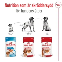 Royal Canin Medium Adult Gravy våtfoder för hund 10x140g