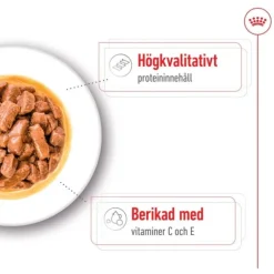 Royal Canin Medium Adult Gravy våtfoder för hund 10x140g