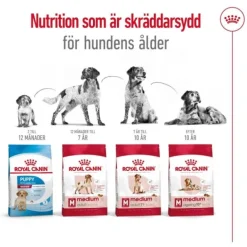 Royal Canin Medium Adult torrfoder för hund