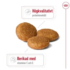 Royal Canin Medium Adult torrfoder för hund