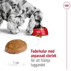 Royal Canin Medium Adult 7+ torrfoder för hund