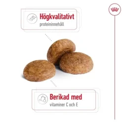 Royal Canin Medium Adult 7+ torrfoder för hund