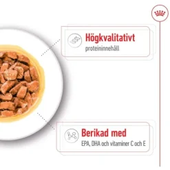 Royal Canin Medium Ageing Gravy våtfoder för hund 10x140g