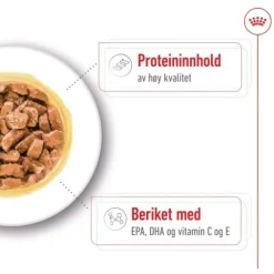 Royal Canin Medium Ageing Gravy våtfoder för hund 10x140g