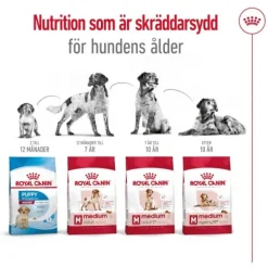 Royal Canin Medium Ageing 10+ torrfoder för hund
