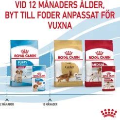 Royal Canin Medium Puppy Gravy våtfoder för hundvalp 10x140g