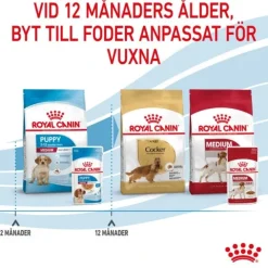 Royal Canin Medium Puppy Gravy våtfoder för hundvalp 10x140g