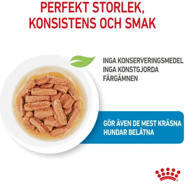 Royal Canin Medium Puppy Gravy våtfoder för hundvalp 10x140g