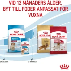 Royal Canin Medium Puppy torrfoder för hundvalp