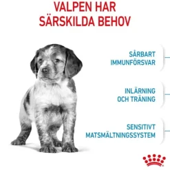 Royal Canin Medium Puppy torrfoder för hundvalp