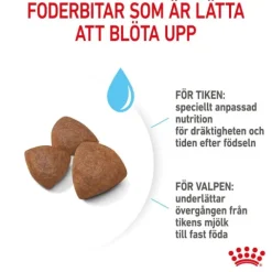 Royal Canin Medium Starter torrfoder för hund och hundvalp