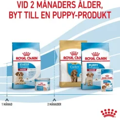 Royal Canin Medium Starter torrfoder för hund och hundvalp