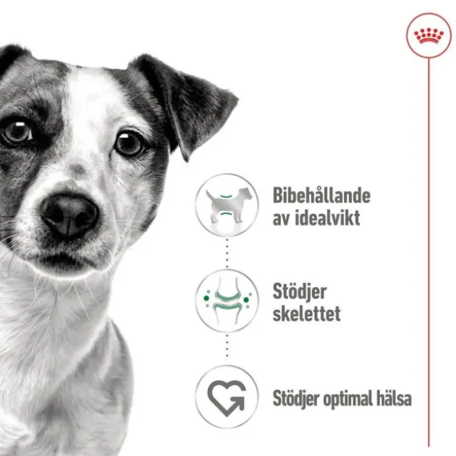 Royal Canin Mini Adult Loaf våtfoder för hund 195 g