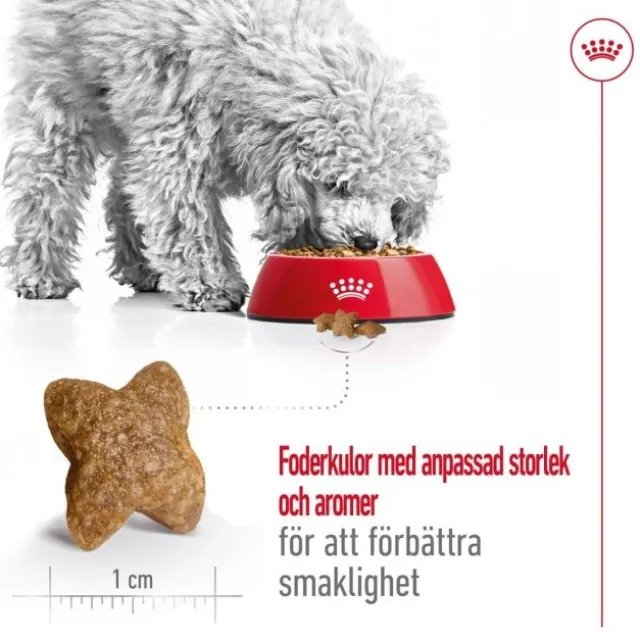 Royal Canin Mini Adult torrfoder för hund
