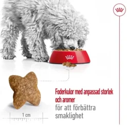 Royal Canin Mini Adult torrfoder för hund