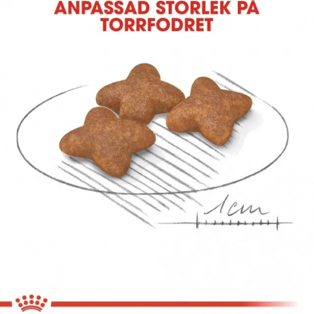 Royal Canin Mini Adult torrfoder för hund