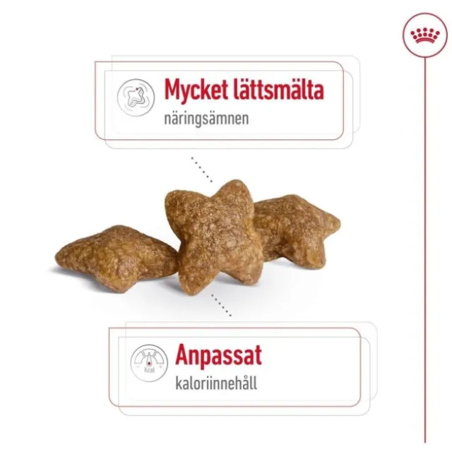 Royal Canin Mini Adult torrfoder för hund