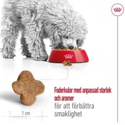 Royal Canin Mini Adult 8+ torrfoder för hund