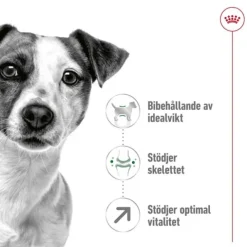 Royal Canin Mini Adult 8+ torrfoder för hund